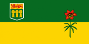 Sask flag small - SASWH
